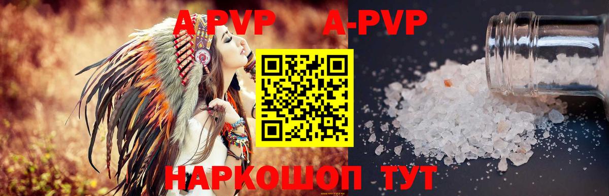APVP СК Каменка