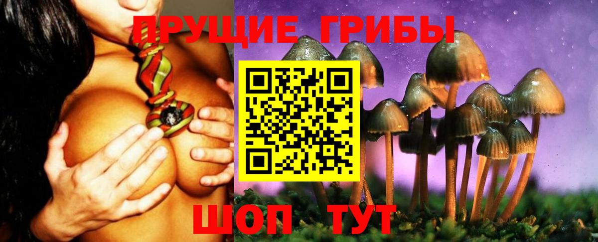 Галлюциногенные грибы GOLDEN TEACHER Каменка