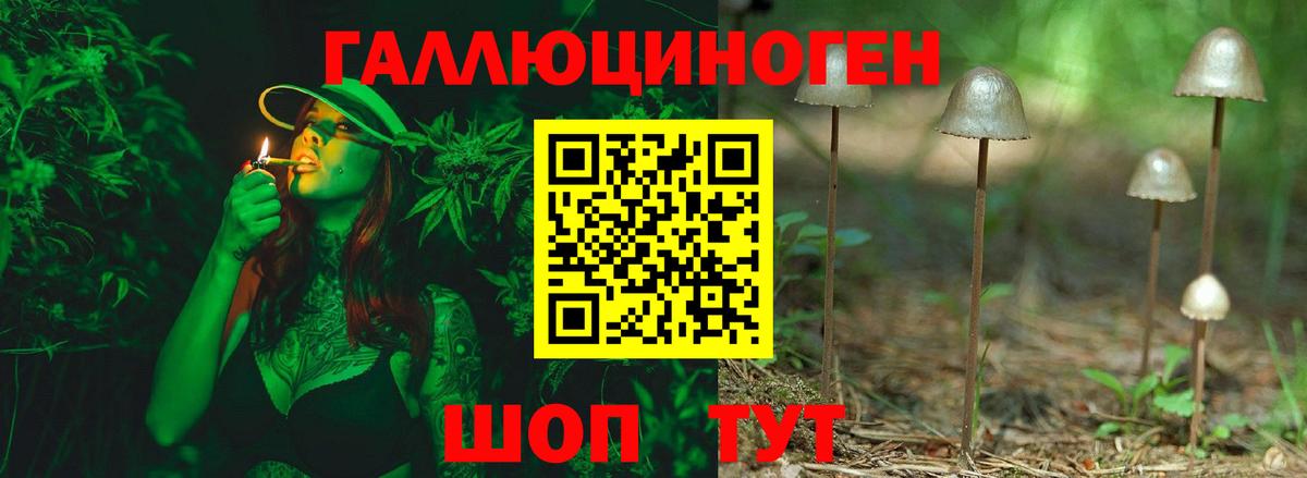 Каменка  цены   Вход с VPN  Галлюциногенные грибы мицелий  Галлюциногенные грибы Cubensis 
